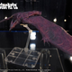 Rodan!